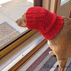 a brown dog wearing a red knitted hat looking out the window at something outside