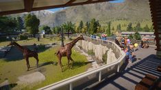 two giraffes in an enclosure with people looking at them from the other side