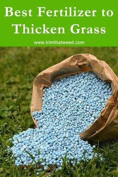 the best fertilizer to thicken grass is in a bag on the ground