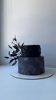 a black and white cake sitting on top of a table next to a plant in a vase