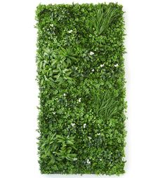 an artificial green wall with plants growing on the top and bottom, against a white background