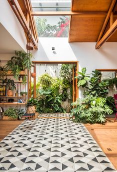 a room filled with lots of green plants and potted plants on top of wooden shelves