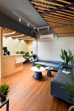 a living room filled with furniture and potted plants on top of wooden flooring