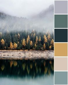 a lake surrounded by trees and fog in the background with color swatches on it