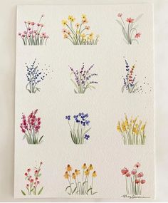 an image of flowers painted on watercolor paper