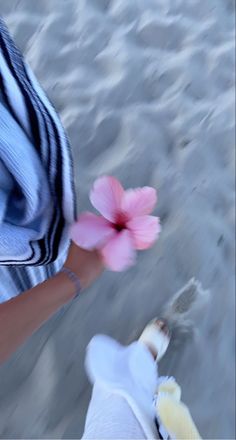 a person walking on the beach with a flower in their hand