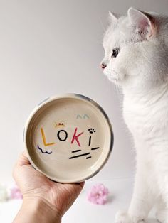 a white cat standing next to a hand holding a bowl with the word look on it