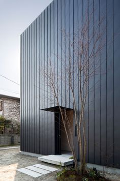 a tree in front of a black building with white stairs and steps leading up to it