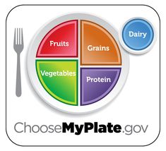 It's no secret I'm a fan of the Dietary Guidelines outlined by the USDA, and the most recent recommendations for the next 5 years was released today. Low Carb Diet Meal Plan, Food Pyramid, Low Carb Diets, My Plate, Vegetable Protein, Diet Vegetarian, Nutrition Education, Cub Scouts, Group Meals