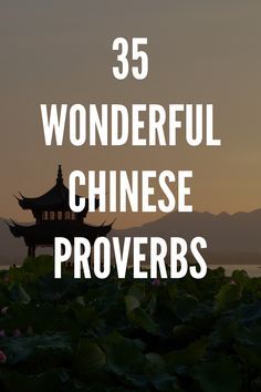 the words wonderful chinese proves are in front of an image of a pagoda and mountains