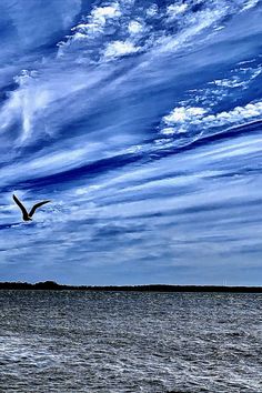 a seagull flying over the ocean under a cloudy blue sky with white clouds