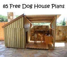 a dog standing in the doorway of a small wooden structure that is made out of wood planks