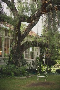 a white swing sitting under a large tree in front of a house on a lush green lawn