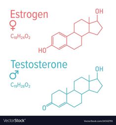 two different types of testoetone