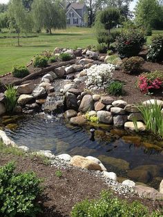 a garden with rocks and water features a house in the background