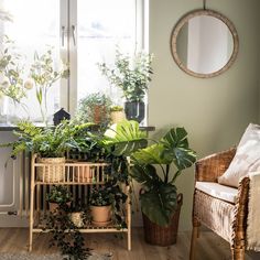 a living room filled with lots of potted plants next to a chair and window