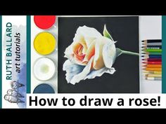 a drawing of a white rose on a black background with the words how to draw a rose