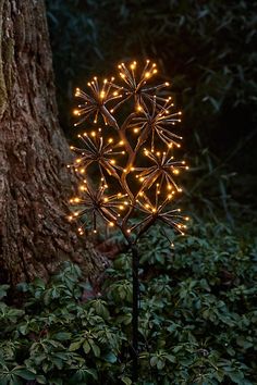 a tree with some lights on it in the woods