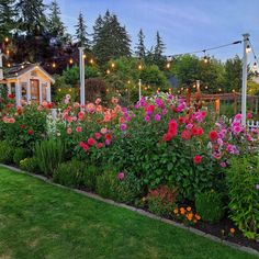 a garden filled with lots of flowers next to a lush green park covered in lights