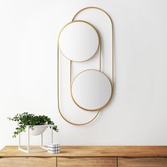 a mirror and plant on a wooden table