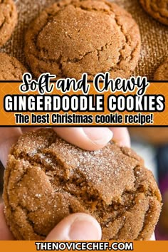 the best christmas cookie recipe is soft and chewy gingerdoodle cookies