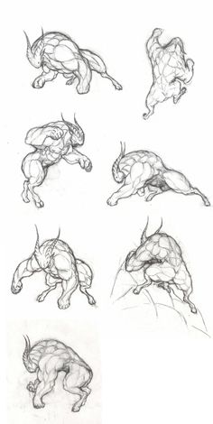 several sketches of animals that are running and jumping