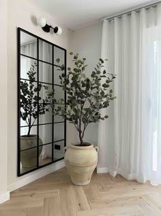 a potted plant in front of a mirror on the wall next to a window