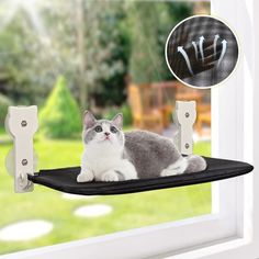 a gray and white cat laying on top of a black shelf next to a window