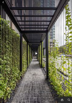 the walkway is lined with green plants and metal bars that lead to an apartment building