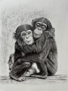 a drawing of two chimpanses hugging each other on the ground with trees in the background