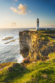 a lighthouse on top of a cliff near the ocean with grass and flowers around it