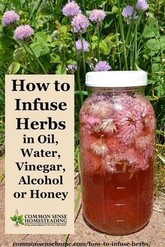 How to infuse herbs - Make your own flavored cooking oils or flavored vinegars, delicious extracts and sweet treats, or homemade medicines from your garden. Herbs In Oil, Flavored Vinegars, Magia Das Ervas, Herbal Tinctures, Herbal Recipes, Herbal Apothecary, Natural Healing Remedies, Herbal Healing, Cooking Oils