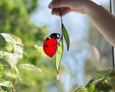 a ladybug hanging from a green leaf