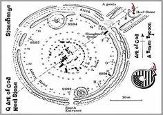 diagram of the structure of an animal cell