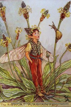 an illustration of a little boy standing in the grass with flowers on his head and wings