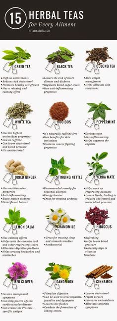 Herbs And Their Uses, Tea Remedies, Types Of Herbs, Tea Health Benefits, Resep Diet, Tea Benefits, Herbal Teas, Detox Smoothie, Detox Tea