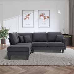 a living room with a gray couch and two pictures on the wall