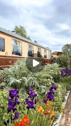 the train is traveling down the tracks near many colorful flowers and plants in front of it