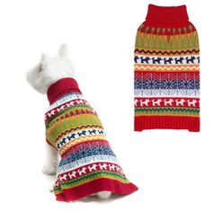 a small white dog wearing a colorful sweater