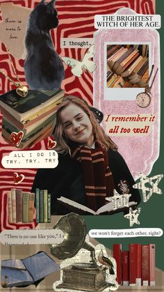 an altered collage with books, cats and other things in the background that include text