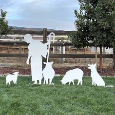 a nativity scene with sheep, lambs and a shepherd on the grass in front of a fence