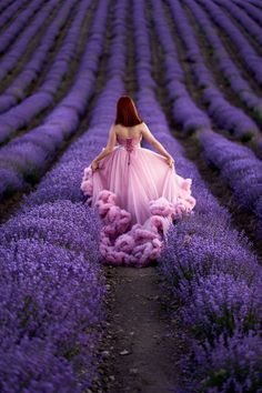 a woman in a pink dress walking through a field full of lavender flowers with her back to the camera