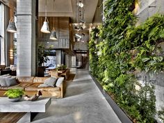 an indoor living room with plants growing on the wall