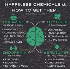 Happiness Chemicals, Physical Touch, Brain Health, Mental Wellness, Self Improvement Tips, Emotional Health, Health And Wellbeing