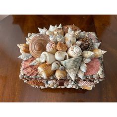 several seashells are arranged in a square arrangement on a wooden table with wood flooring