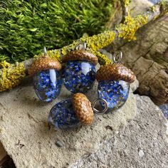 three acorns are sitting on top of a rock