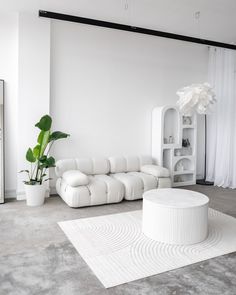 a living room with white furniture and a large potted plant