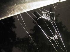 a spider web on the side of a car at night