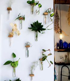 the wall is filled with various plants and vases hanging on it's sides