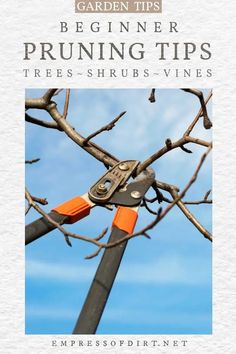 an orange pair of scissors is stuck in the branches of a tree